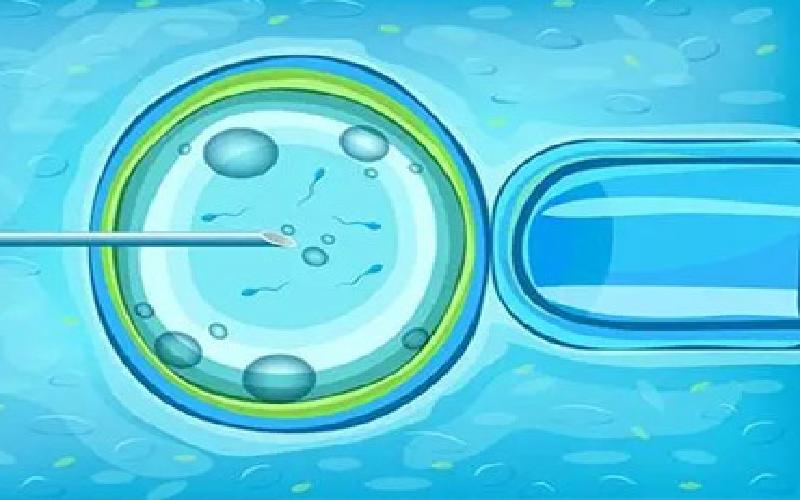 哪里做试管 香港代生